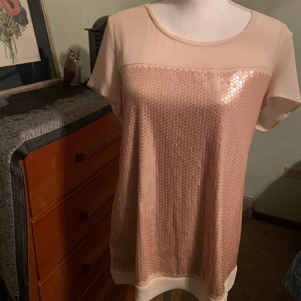 Ann Taylor Sequin Blouse: Large